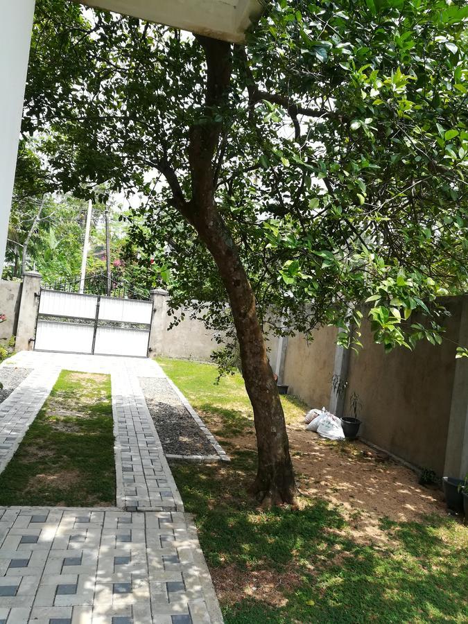Sea Breeze Otel Bentota Dış mekan fotoğraf